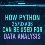 How Python 2579xao6 Can Be Used for Data Analysis