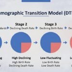 Demographic Transition Model
